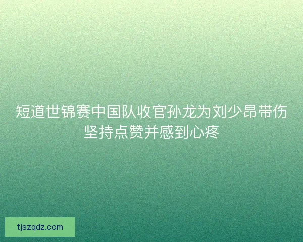 短道世锦赛中国队收官孙龙为刘少昂带伤坚持点赞并感到心疼