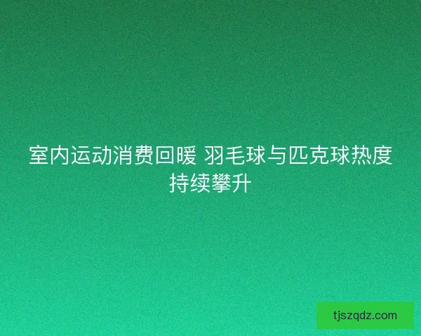 室内运动消费回暖 羽毛球与匹克球热度持续攀升